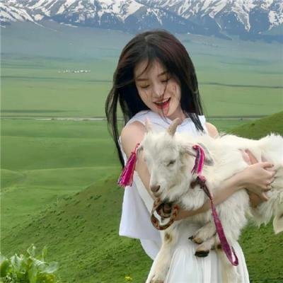 算计：7日死亡游戏