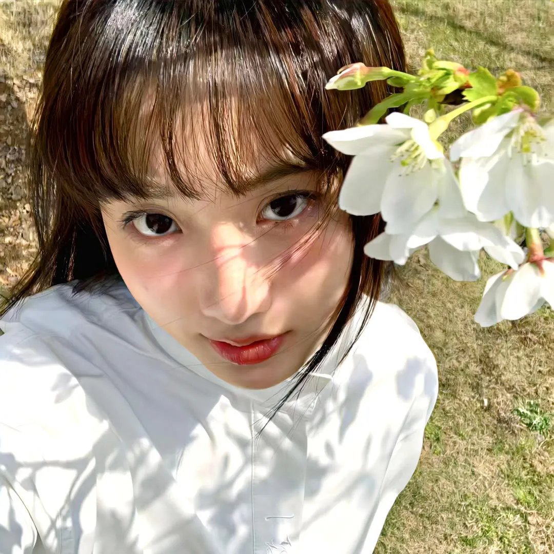 血红溅白纱